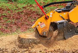 Best Tree Risk Assessment  in West Berlin, NJ