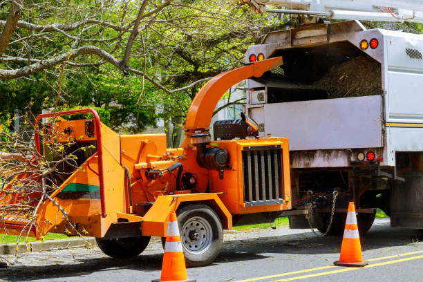 Best Lawn Drainage Solutions  in West Berlin, NJ