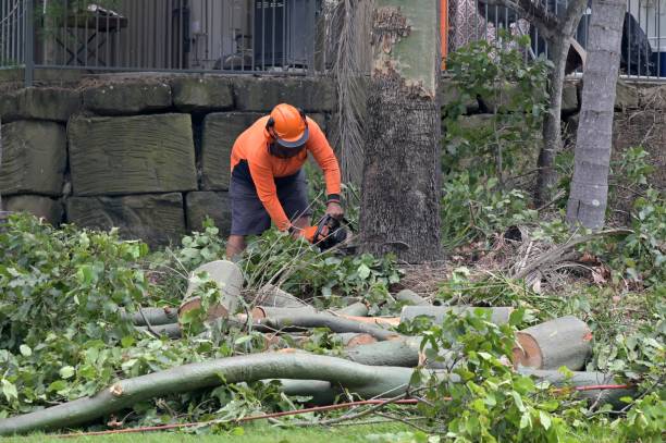 Best Arborist Consultation Services  in West Berlin, NJ